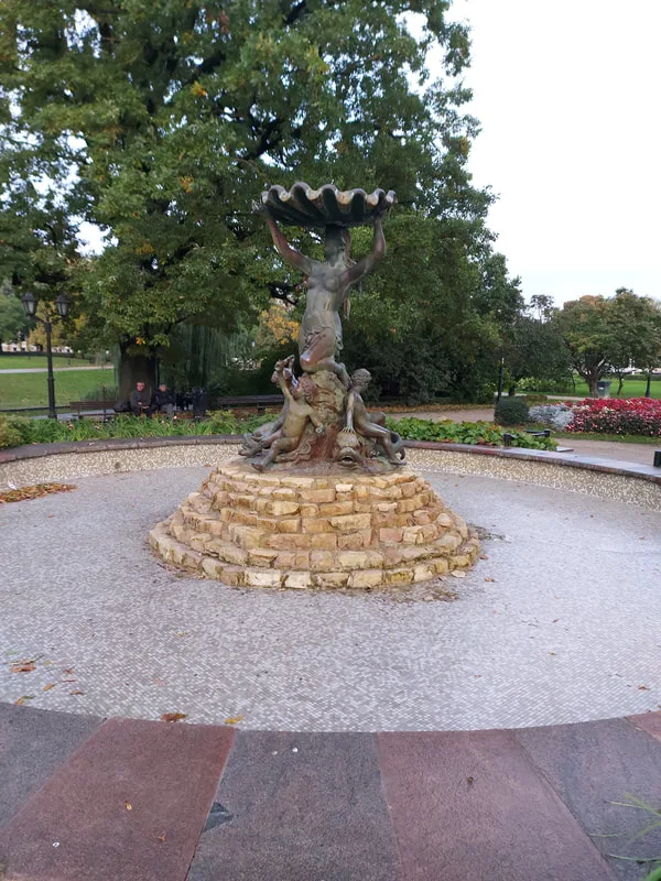 Picture