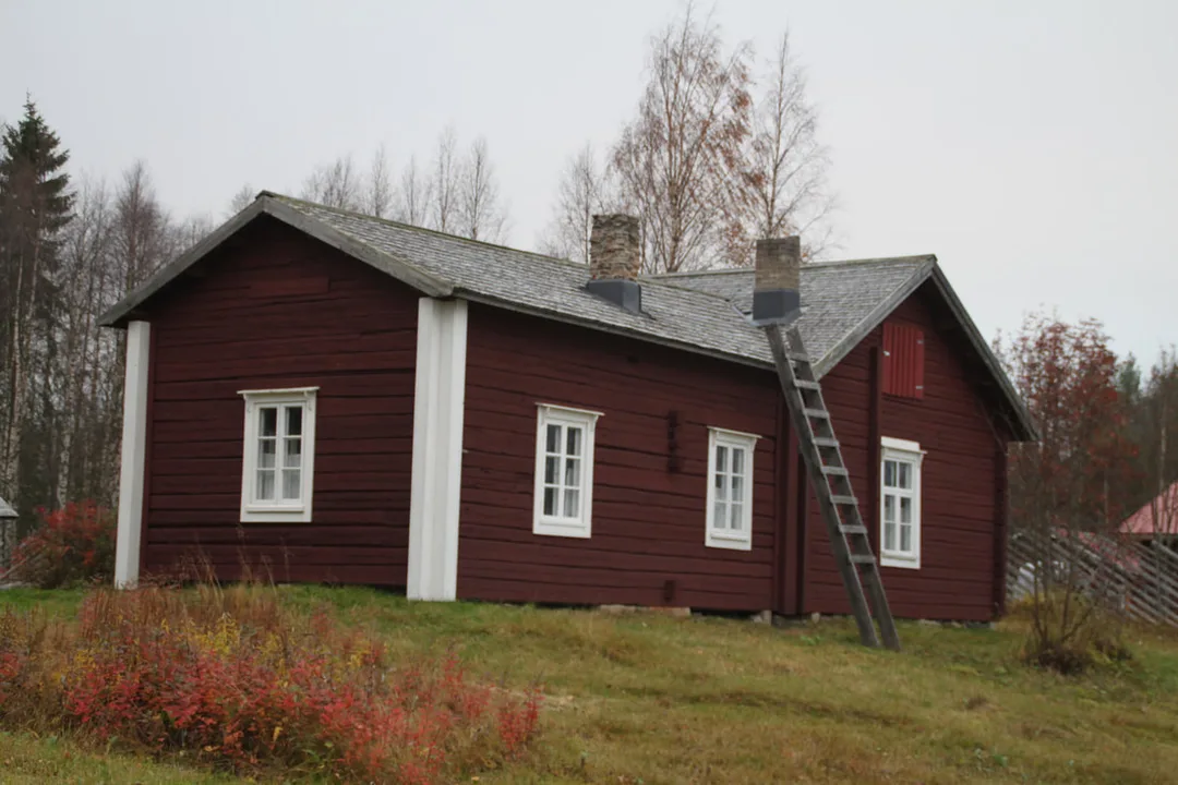 Picture